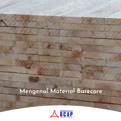 Mengenal Material Barecore