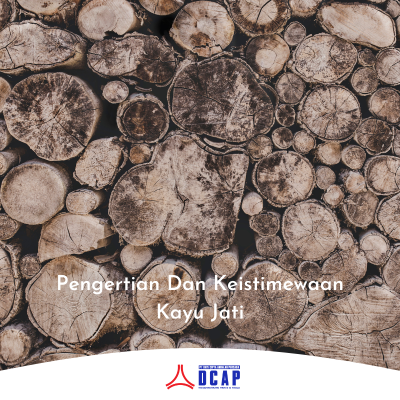 Pengertian dan Keistimewaan Kayu Jati