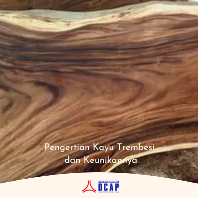 Pengertian Kayu Trembesi dan Keunikannya