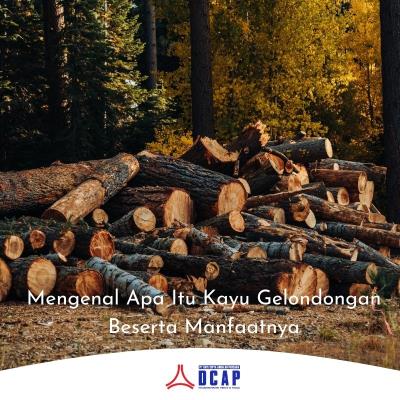 Mengenal Apa Itu Kayu Gelondongan Beserta Manfaatnya