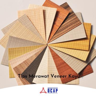 Tips Merawat Veneer Kayu