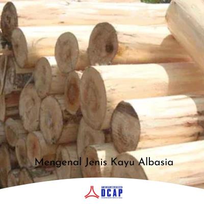 Mengenal Jenis Kayu Albasia