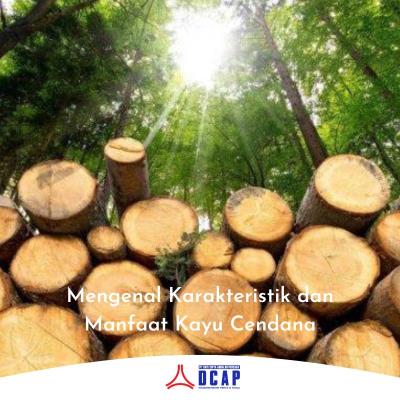 Mengenal Karakteristik dan Manfaat Kayu Cendana
