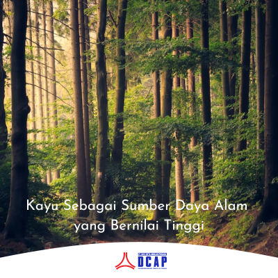 Kayu Sebagai Sumber Daya Alam yang Bernilai Tinggi