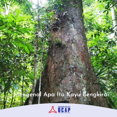 Mengenal Apa Itu Kayu Bengkirai