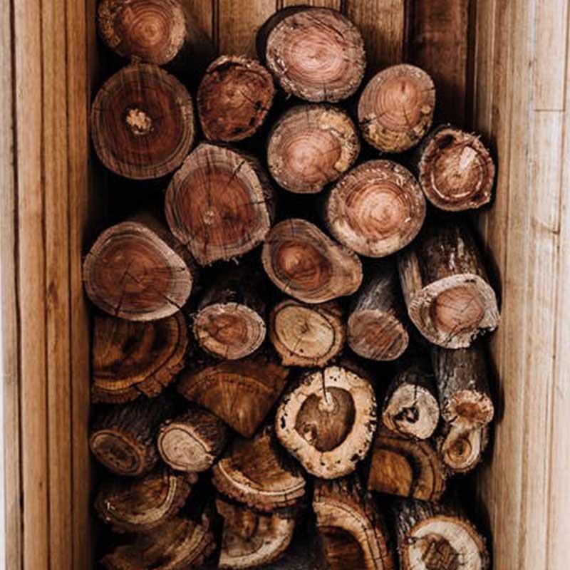 Karakteristik Kayu Trembesi
