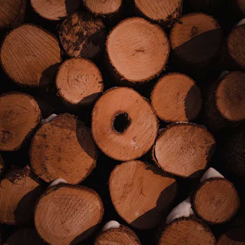 Kayu Merbau