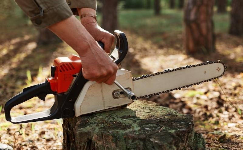 Gergaji Rantai atau Chain Saw