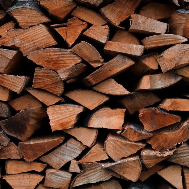 Kayu Jati 