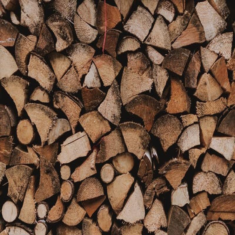 Kayu Akasia