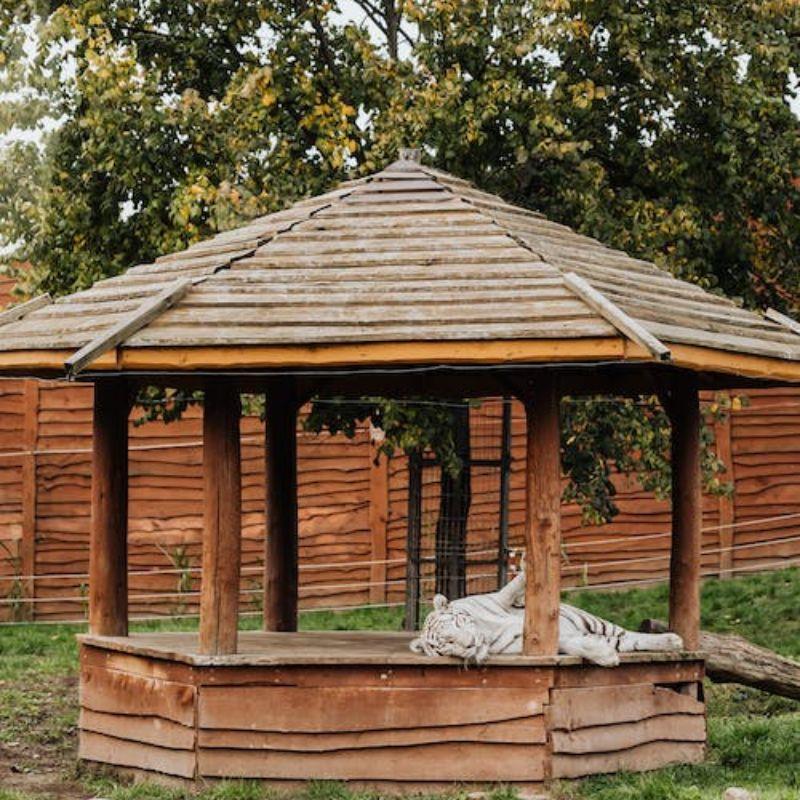 Membuat Desain Gazebo  