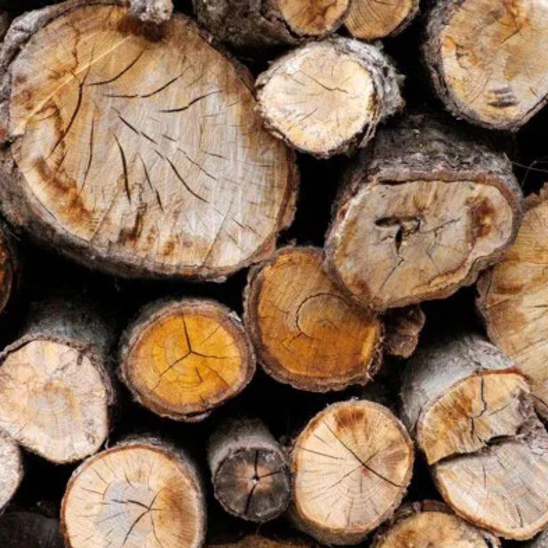 Kayu Merbau