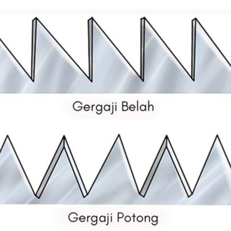 Bentuk Mata Gergaji