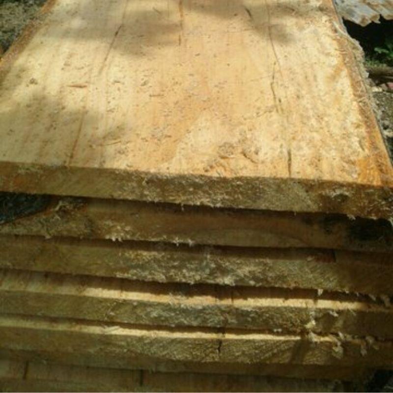 Apa Itu Kayu Randu?