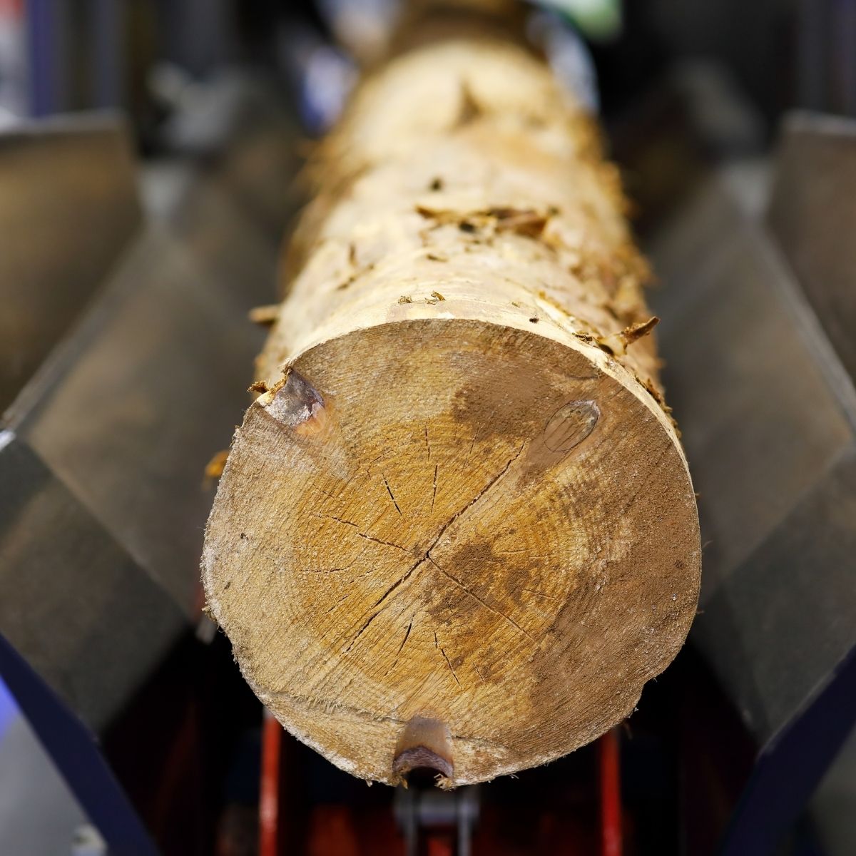 1. Apa Itu Proses Peeling dalam Industri Kayu?
